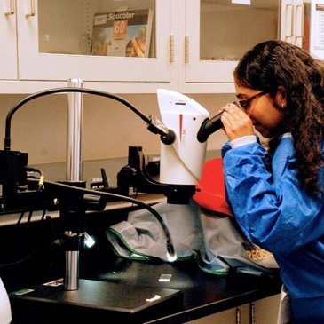 Young woman in lab looking down into a microscope